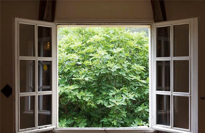 整木定制裝修完如何去除甲醛味道？(圖1)